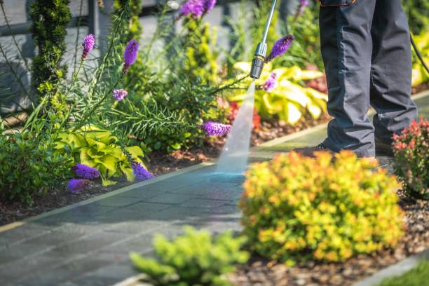 Best Spring Cleaning  in Clarks Summit, PA